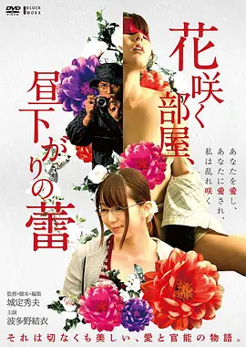 《霸王别姬》电影海报